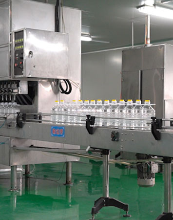 Производственная линия пшеницы и сои