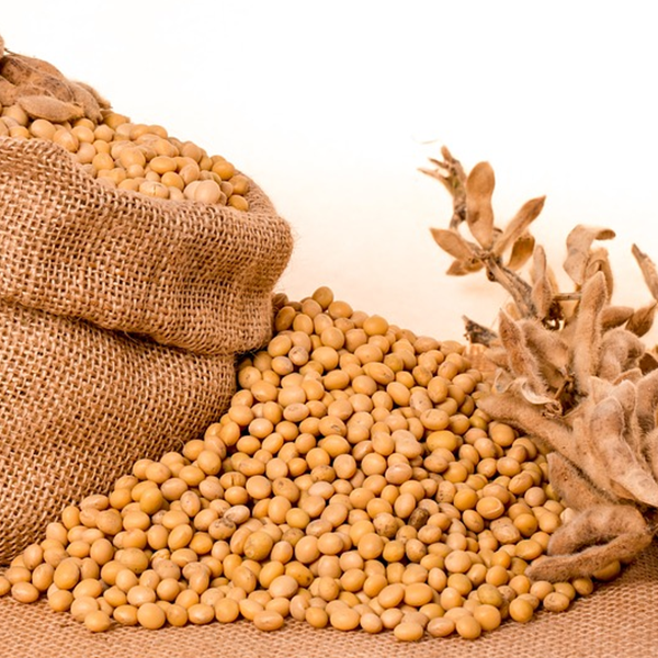 Что такое сою белок и преимущества?