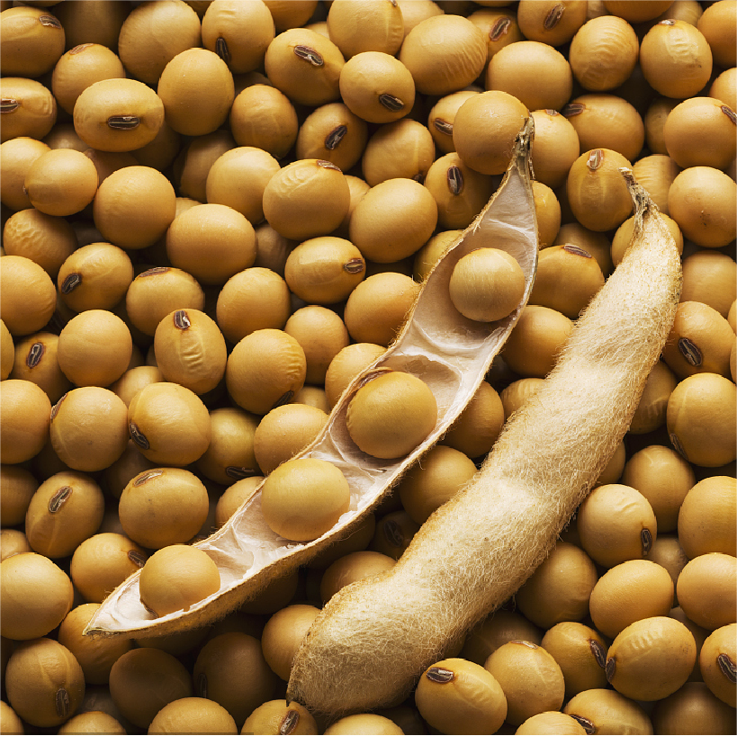 Сколько белка в 100 г соевого мяса?